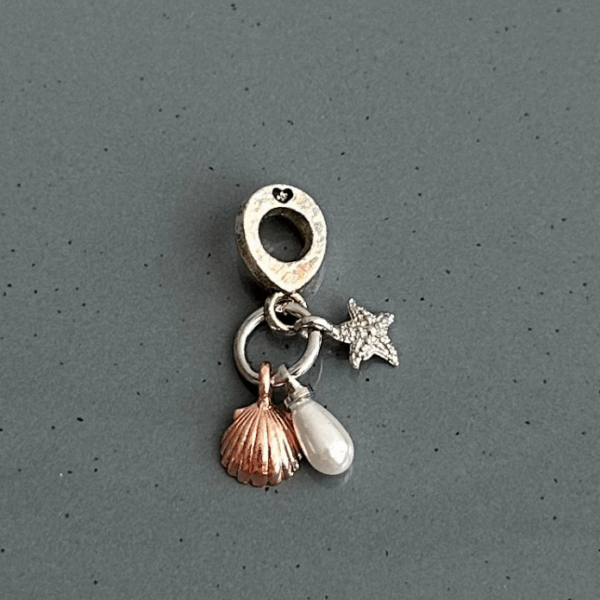 pirinç silver deniz kabuğu pndr charm