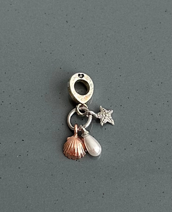 10-9.png pirinç silver deniz kabuğu pndr charm - Görsel 1