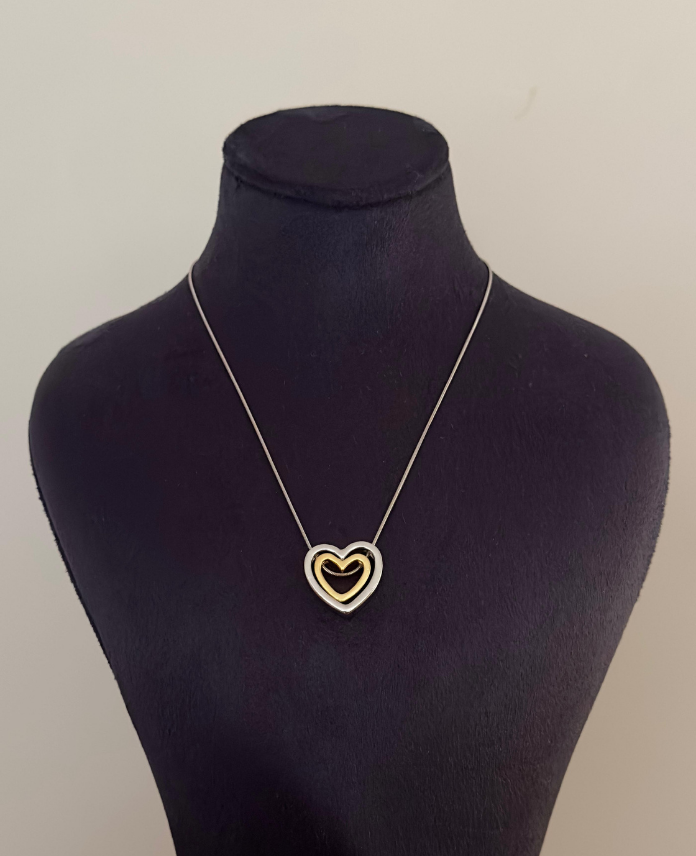 111253.png çelik kalp ikili iki renk kolye - Görsel 1