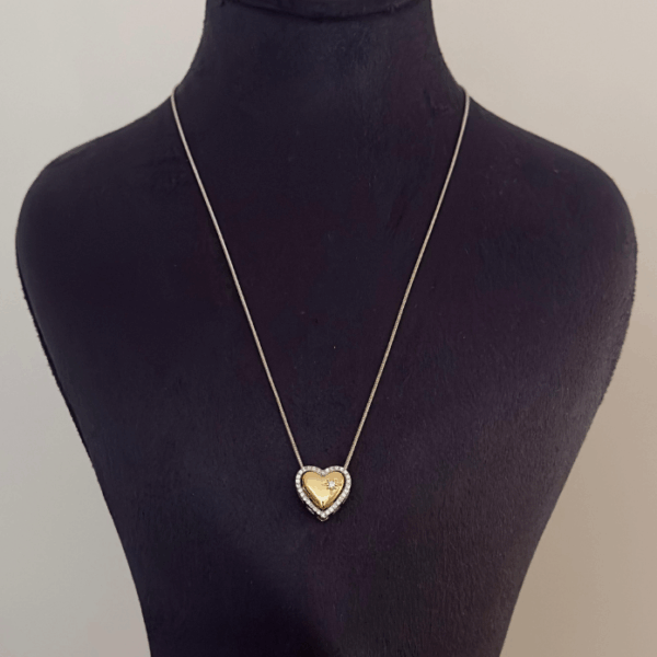 çelik kalp plaka iki renk kolye