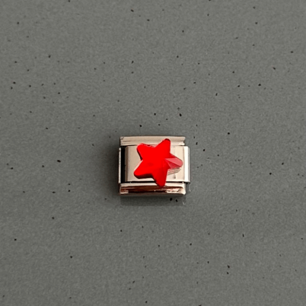 pirinç silver kırmızı yıldız pndr charm