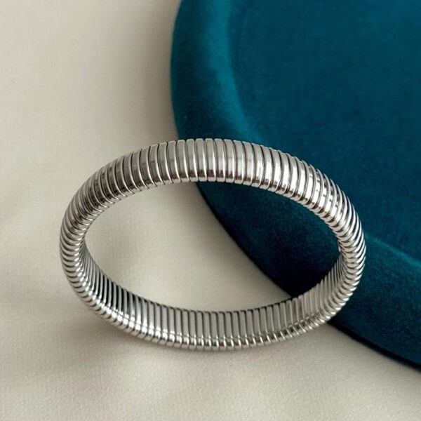 çelik sillver kalın elastik kelepçe