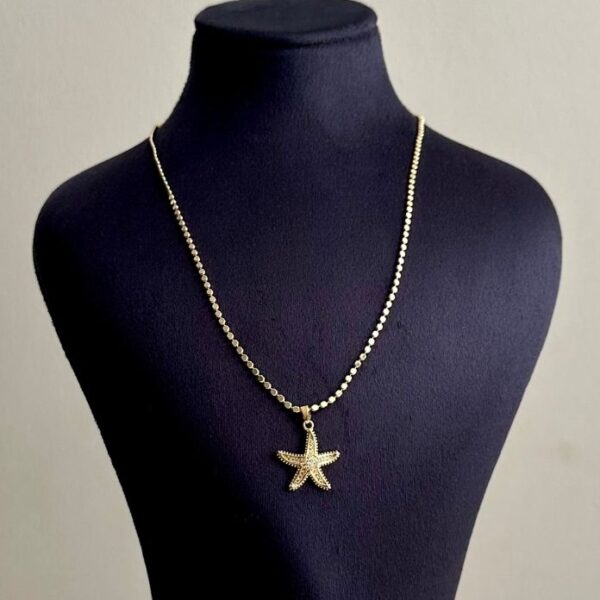 çelik gold deniz yıldızı 45cm kolye