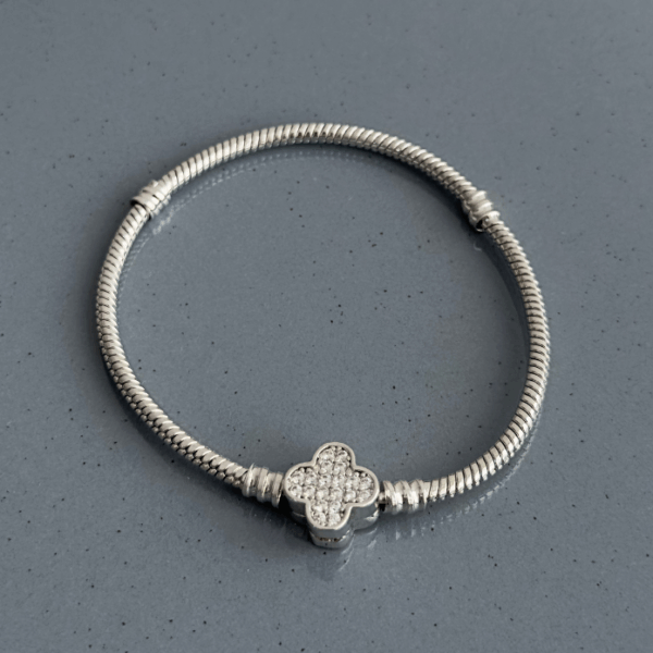 pirinç silver yonca taş pndr