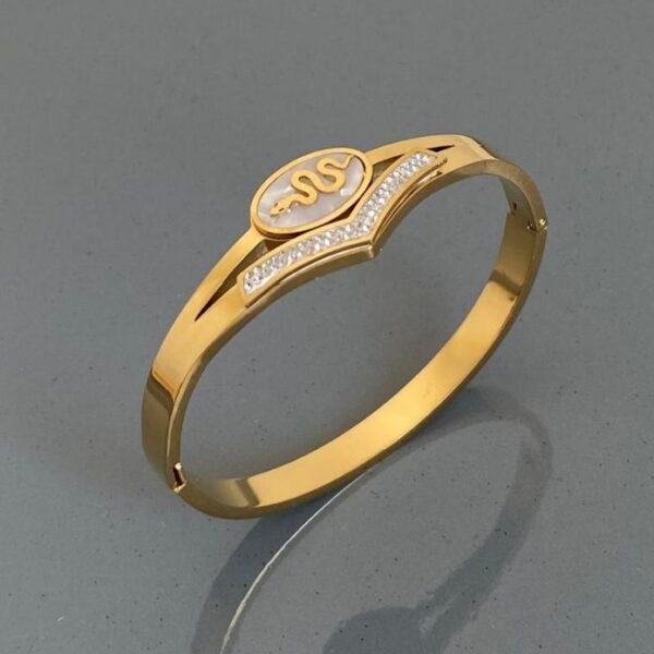 Çelik Üstü Yılan Sedef Kelepçe