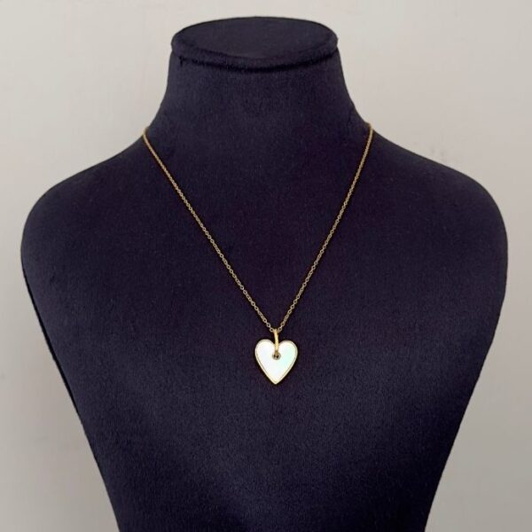 Çelik İnce Zincir Ucu Uzun Kalp Sedef Kolye