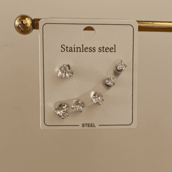 Çelik 6lı Kalpli Taşlı Silver Küpe