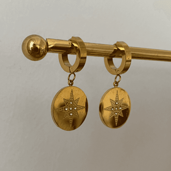 Çelik Sedef Yıldızı Küpe