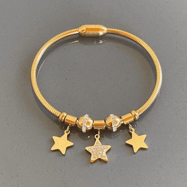 Çelik 3 Yıldızlı Pndr