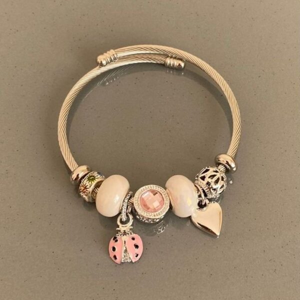 Uğur Böceği Pembe Pndr