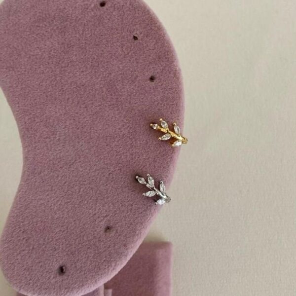 Pirinç Yaprak Helix